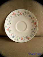 Royal Doulton - Florentina - Teacup Saucer