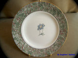 Wedgwood - Humming Birds - Bread and Butter Plate